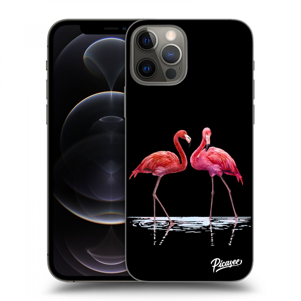 Picasee ULTIMATE CASE MagSafe für Apple iPhone 12 Pro - Flamingos couple