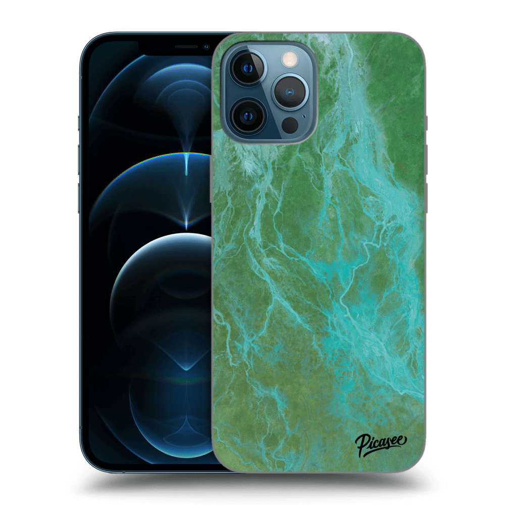 Picasee Apple iPhone 12 Pro Max Hülle - Transparentes Silikon - Green marble