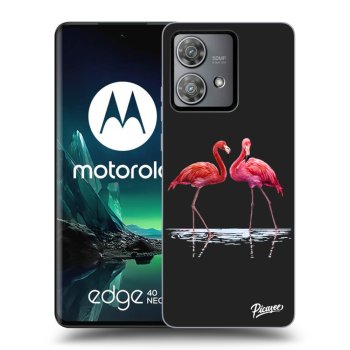 Hülle für Motorola Edge 40 Neo - Flamingos couple