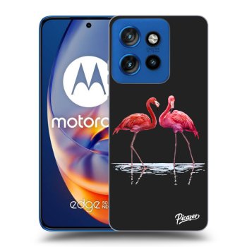 Hülle für Motorola Edge 50 Neo - Flamingos zu zweit