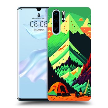 Hülle für Huawei P30 Pro - Whistler