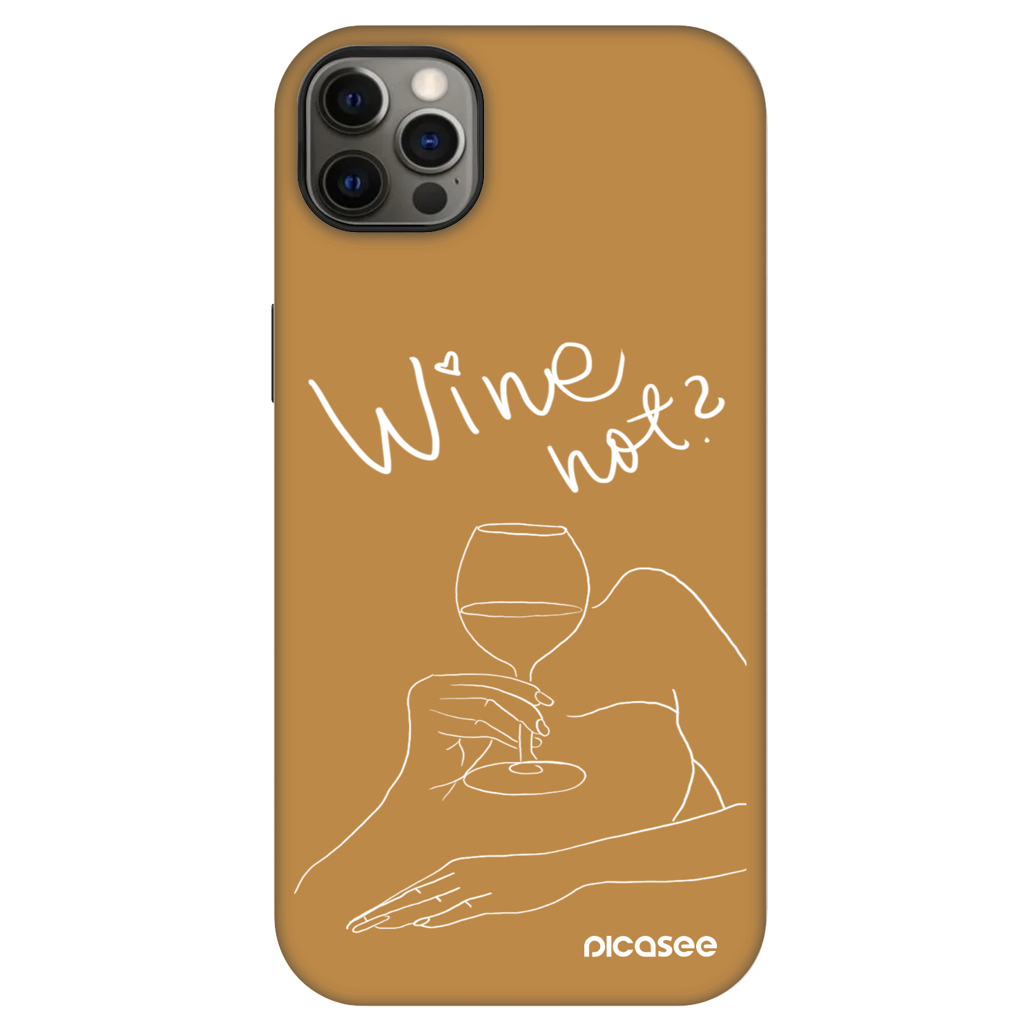 Picasee Fashion Case MagSafe für Apple iPhone 12 Pro Max - Wine not