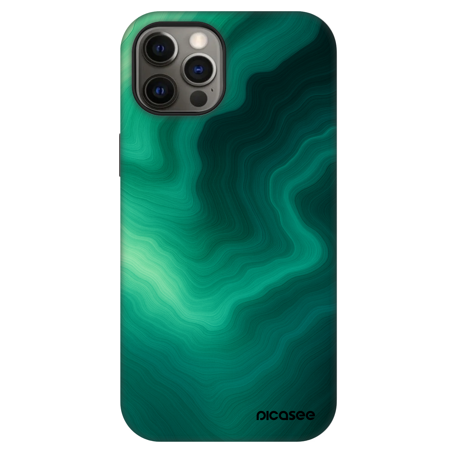 Picasee Fashion Case MagSafe für Apple iPhone 12 - Malachite