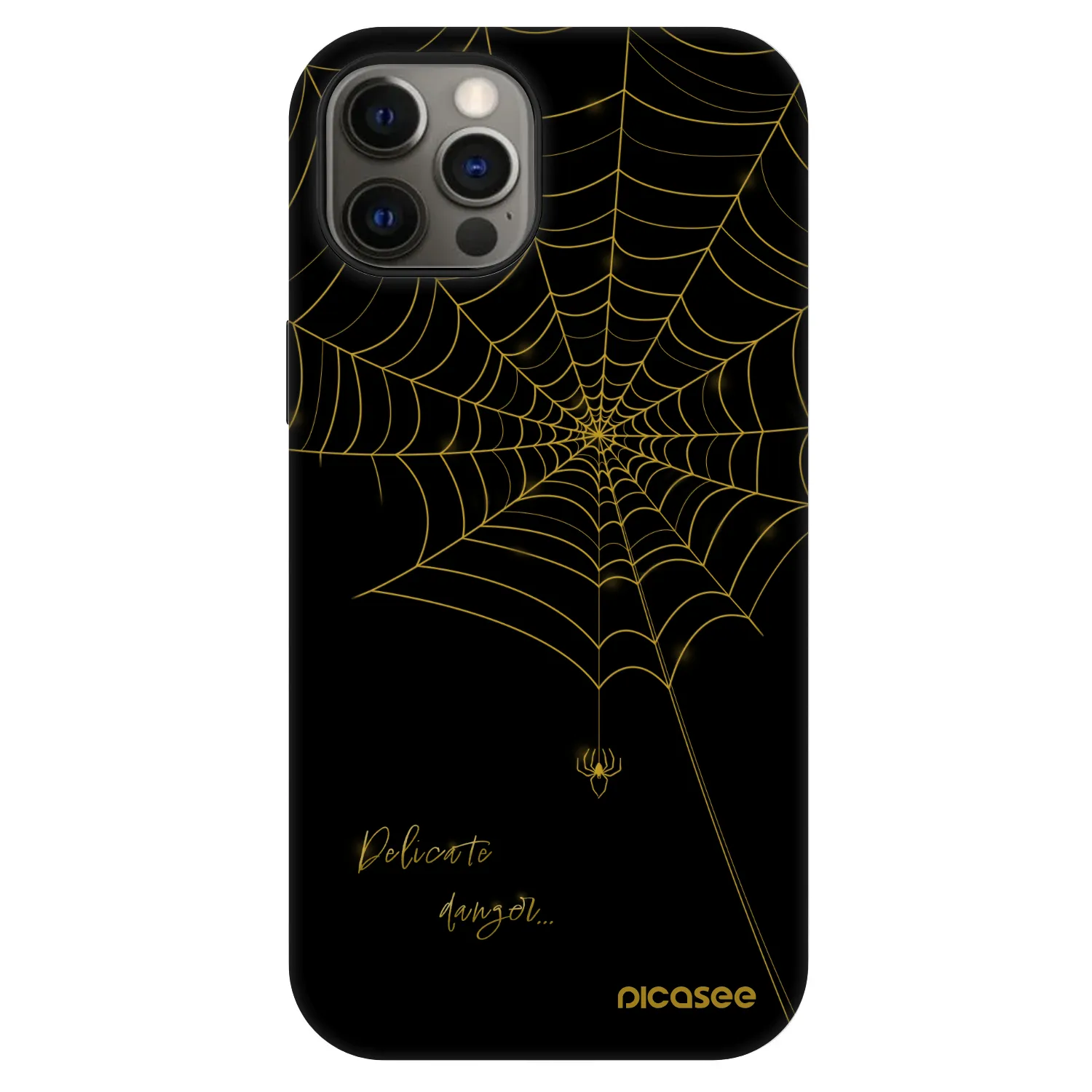 Picasee Fashion Case MagSafe für Apple iPhone 12 - Delicate danger