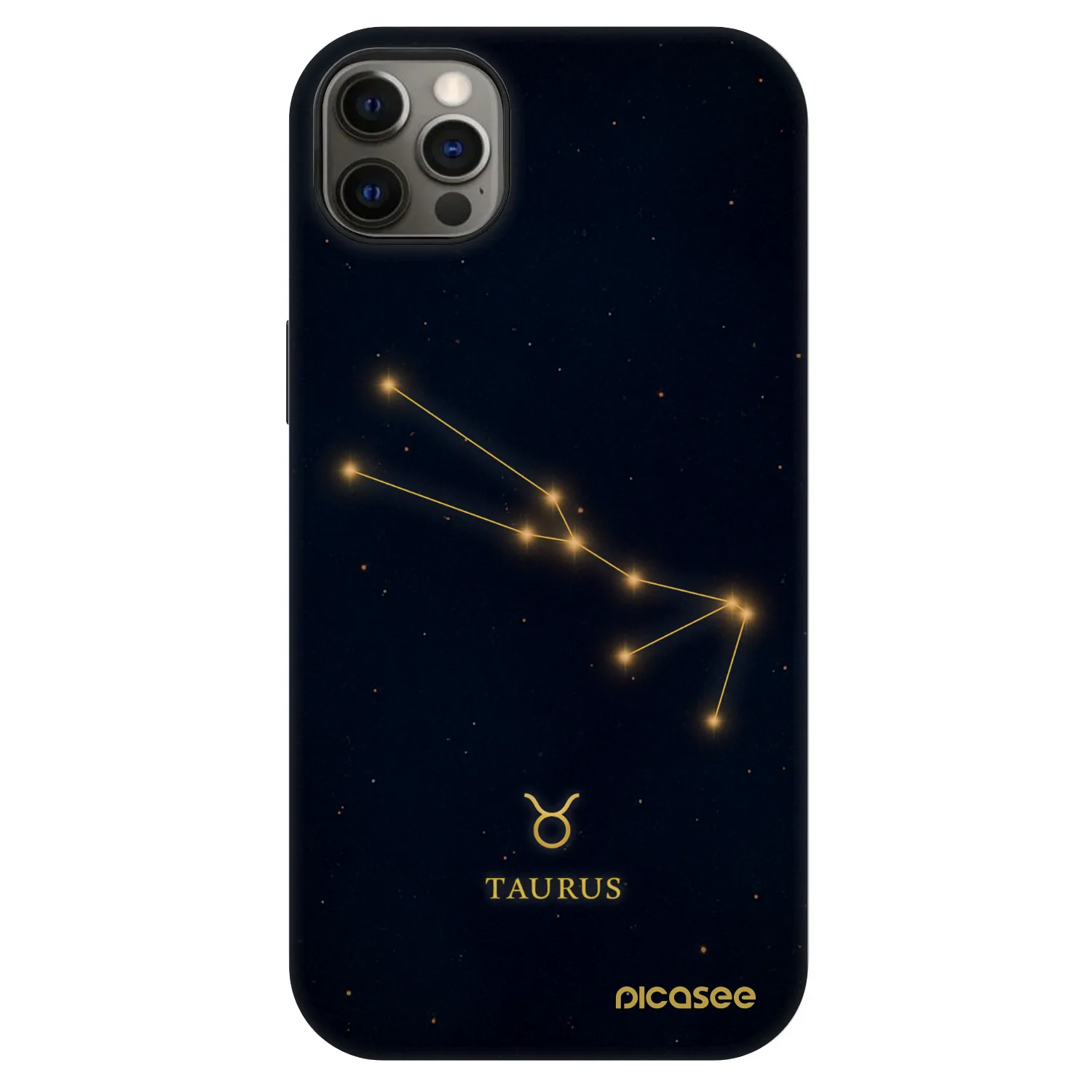 Picasee Fashion Case MagSafe für Apple iPhone 12 Pro Max - TAURUS
