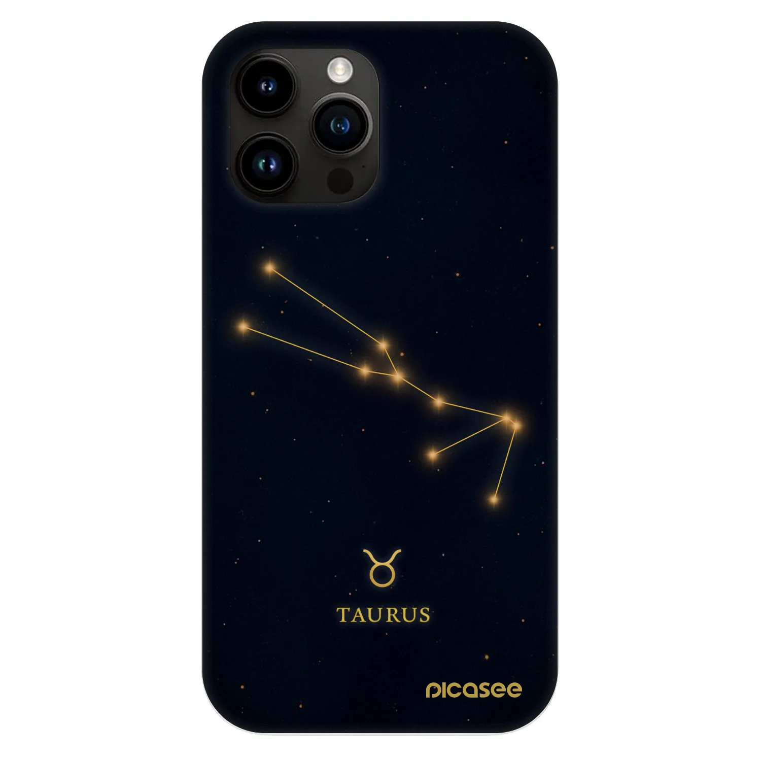 Picasee Fashion Case MagSafe für Apple iPhone 13 Pro Max - TAURUS