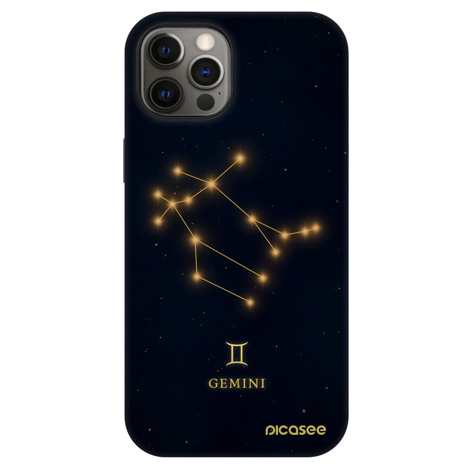Picasee Fashion Case MagSafe für Apple iPhone 12 - GEMINI