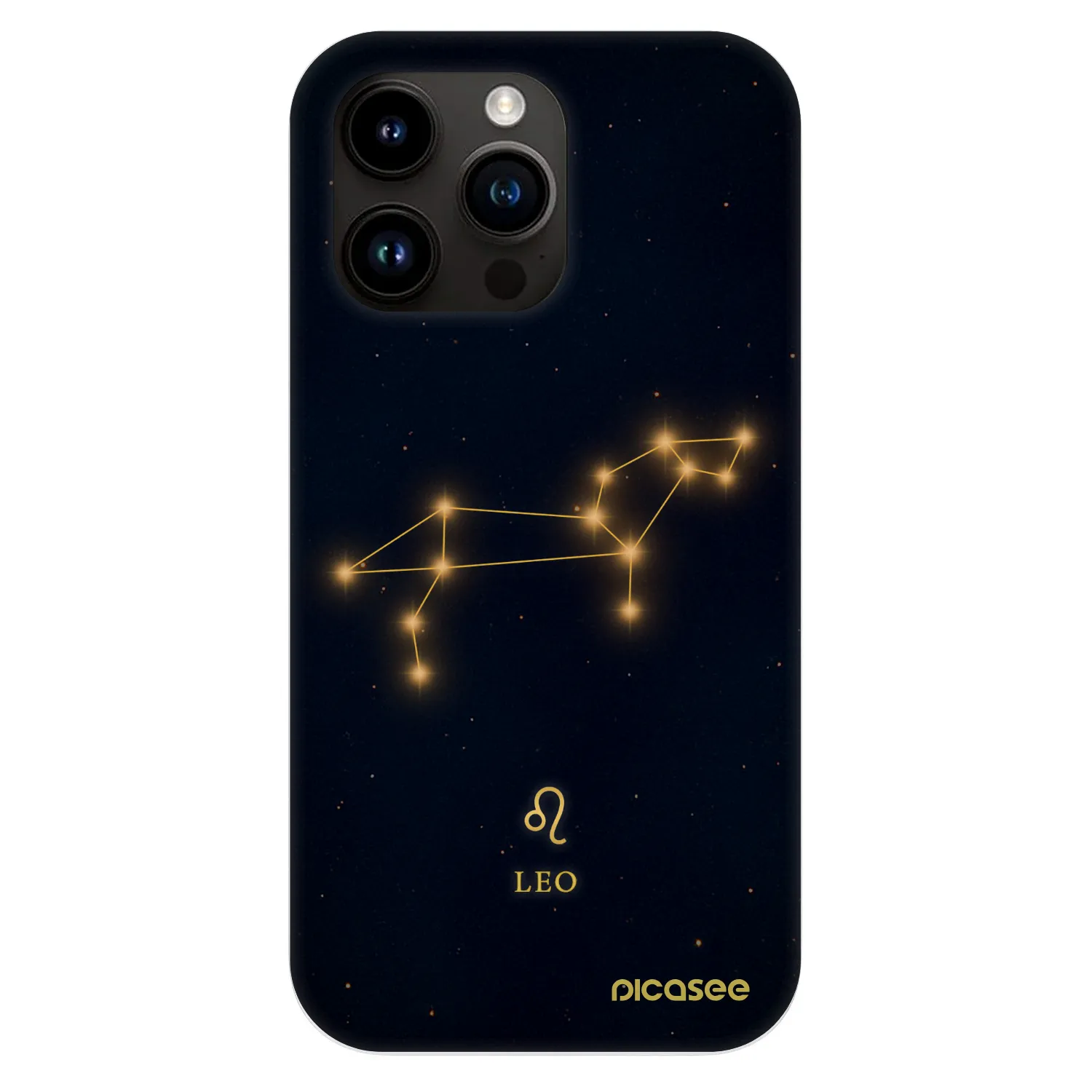 Picasee Fashion Case MagSafe für Apple iPhone 13 Pro - LEO