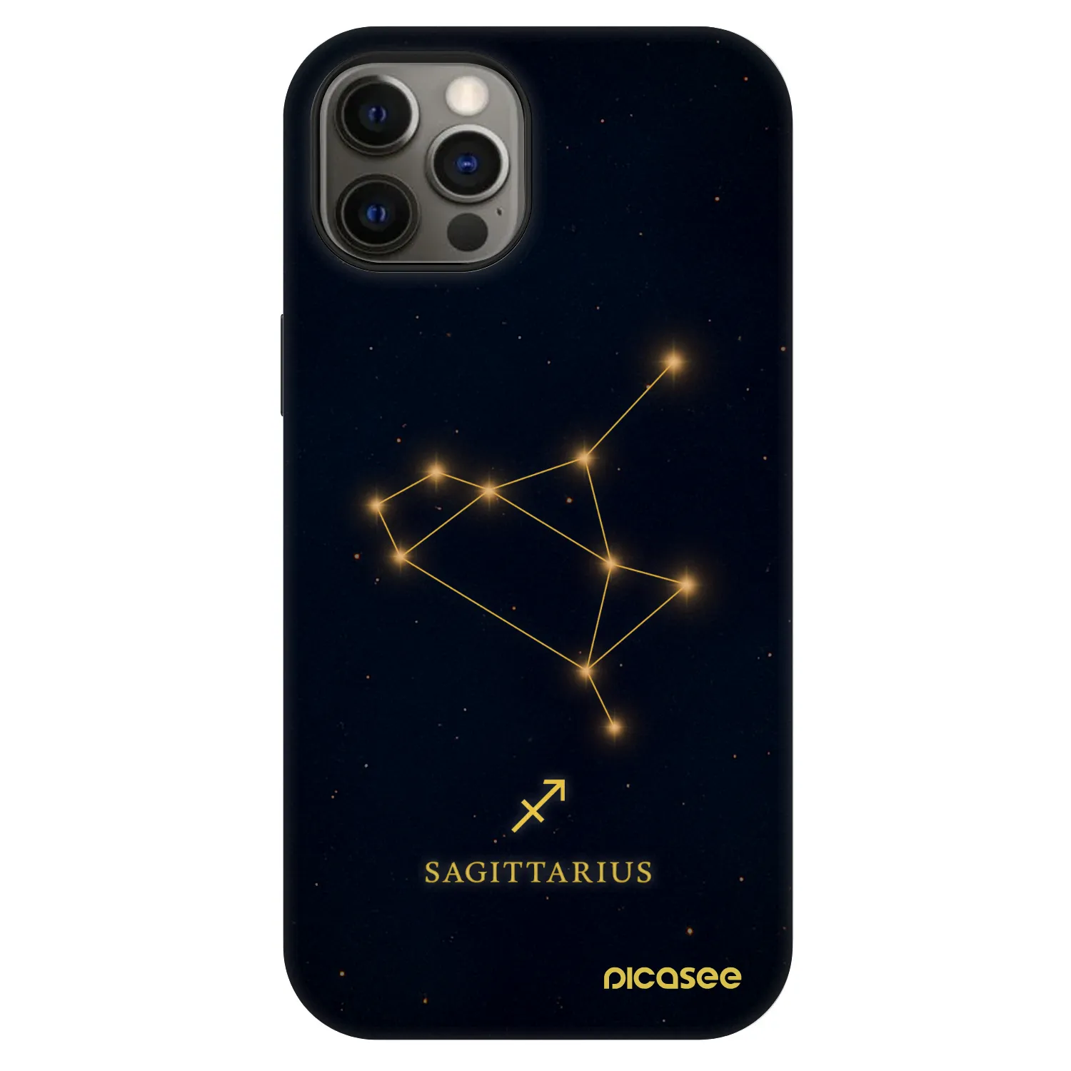 Picasee Fashion Case MagSafe für Apple iPhone 12 Pro - SAGITTARIUS