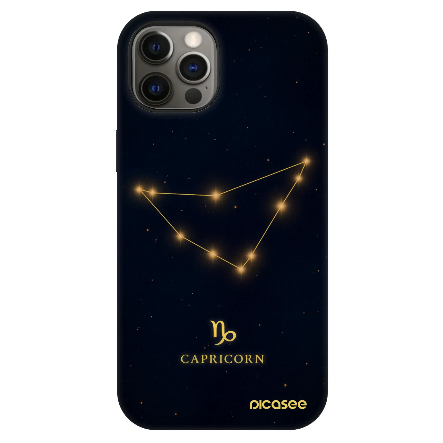 Picasee Fashion Case MagSafe für Apple iPhone 12 Pro - CAPRICORN