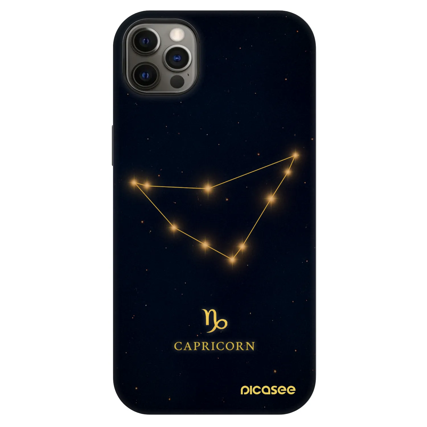 Picasee Fashion Case MagSafe für Apple iPhone 12 Pro Max - CAPRICORN