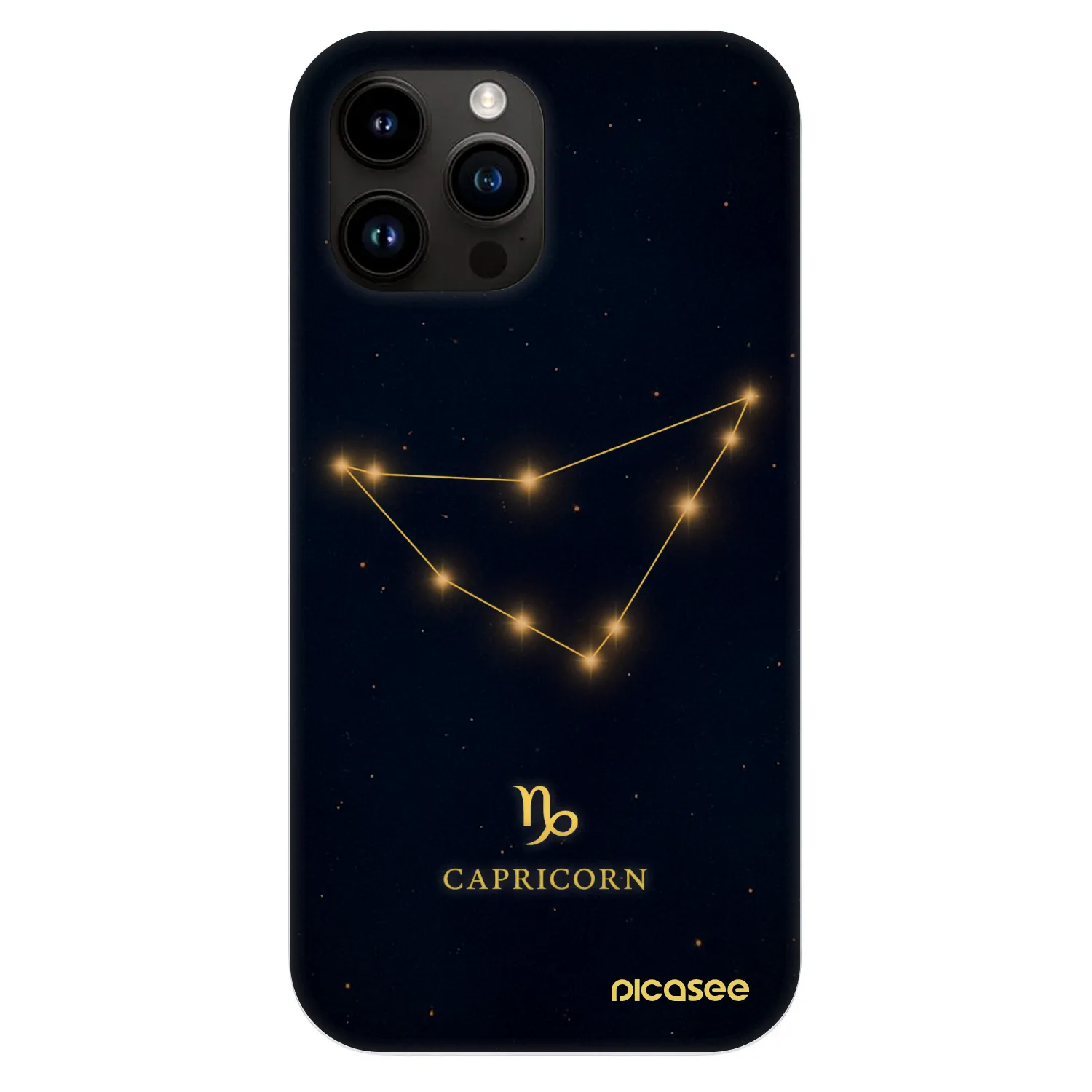Picasee Fashion Case MagSafe für Apple iPhone 13 Pro Max - CAPRICORN