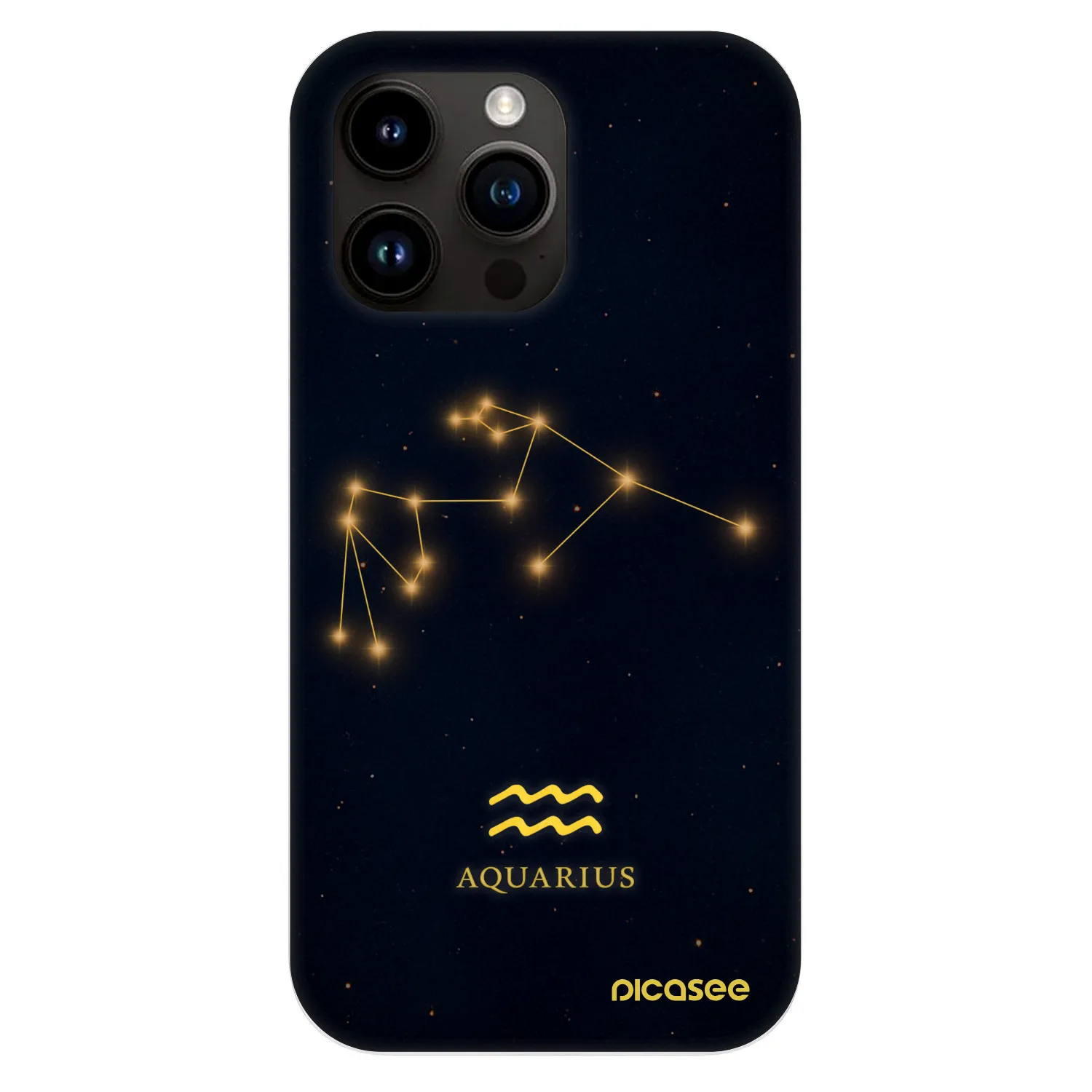 Picasee Fashion Case MagSafe für Apple iPhone 13 Pro - AQUARIUS