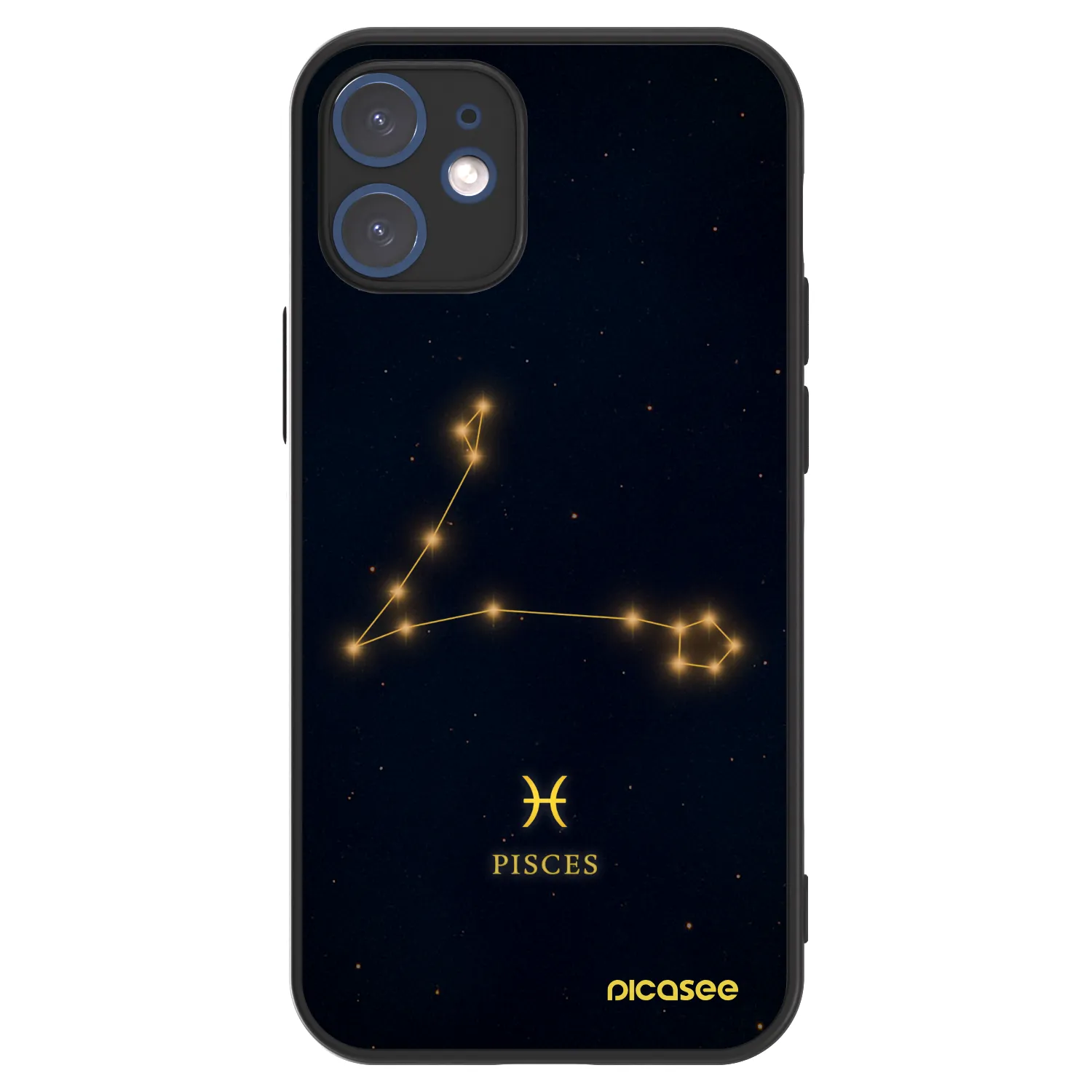 Picasee ULTIMATE CASE MagSafe für Apple iPhone 12 mini - PISCES