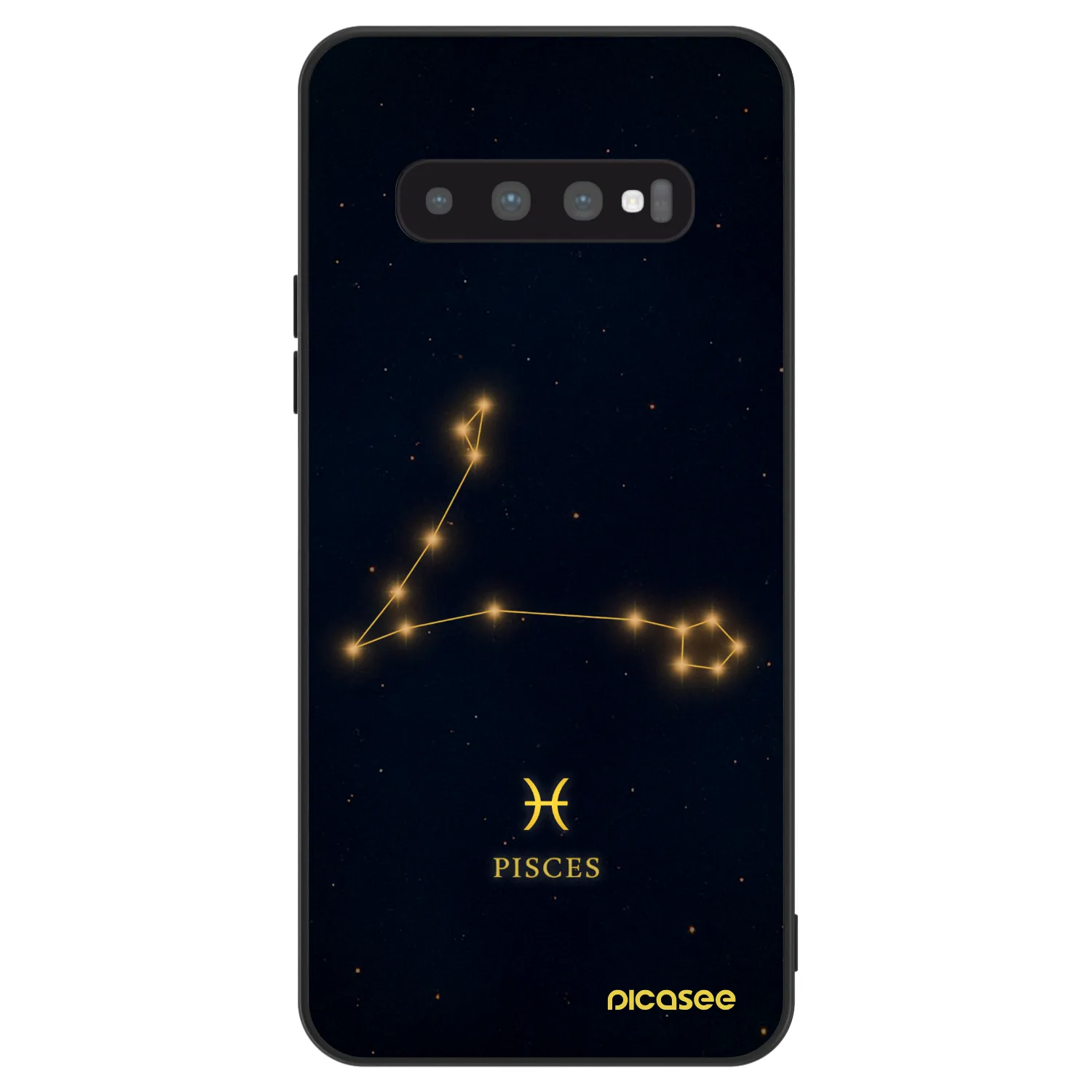 Picasee ULTIMATE CASE für Samsung Galaxy S10 Plus G975 - PISCES