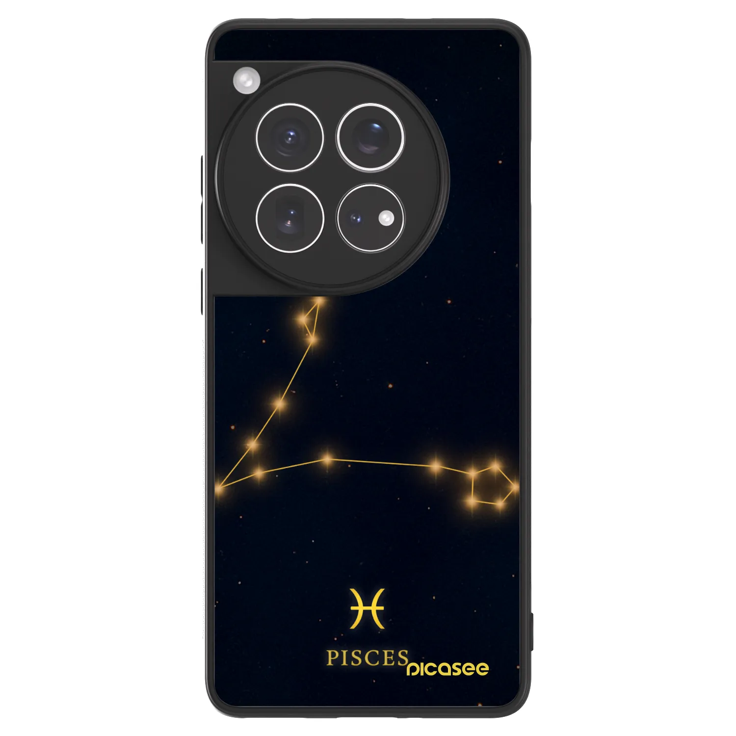 Picasee ULTIMATE CASE für OnePlus 12 5G - PISCES