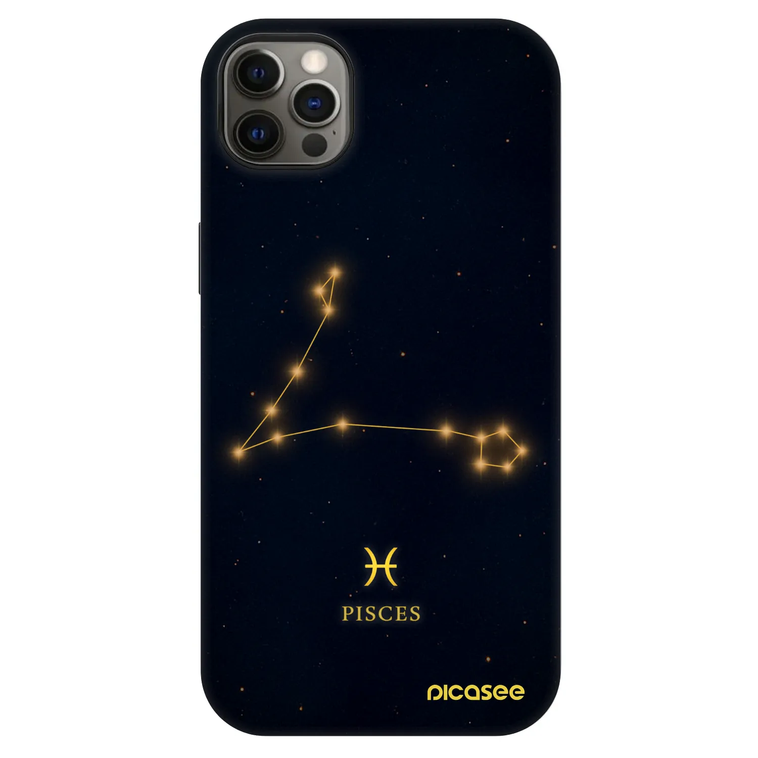 Picasee Fashion Case MagSafe für Apple iPhone 12 Pro Max - PISCES