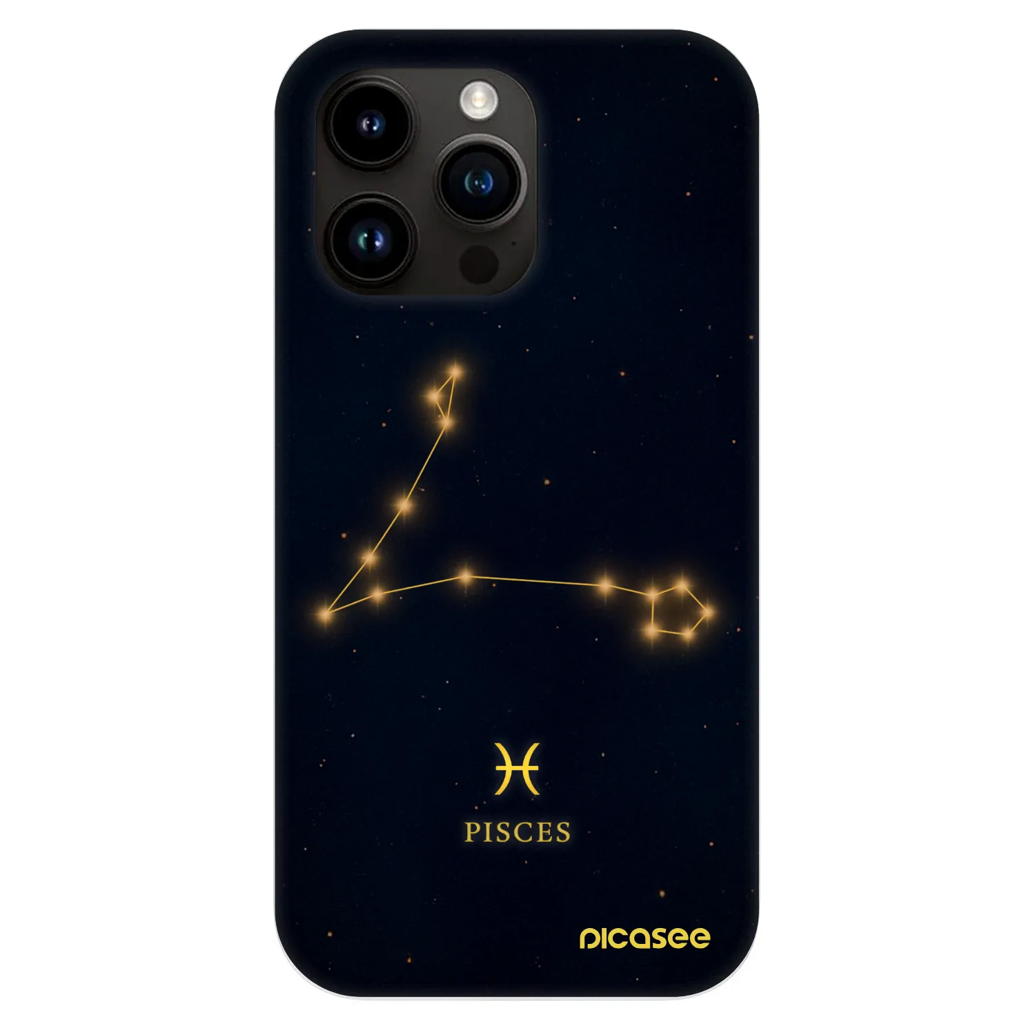 Picasee Fashion Case MagSafe für Apple iPhone 13 Pro - PISCES