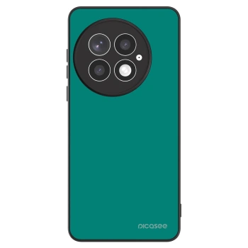 Hülle für OnePlus 13 5G - Emerald Mist