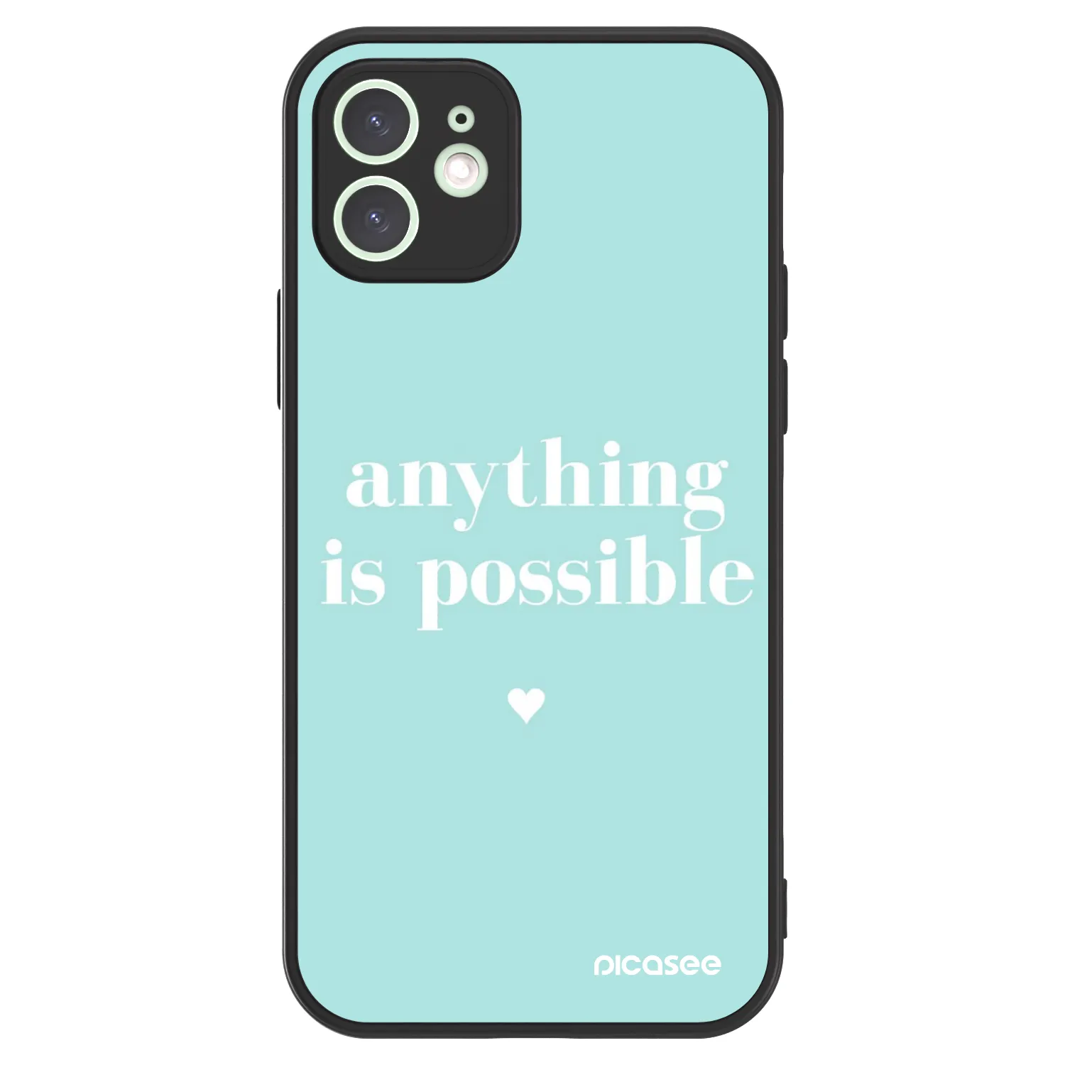 Picasee ULTIMATE CASE MagSafe für Apple iPhone 12 - Anything is possible
