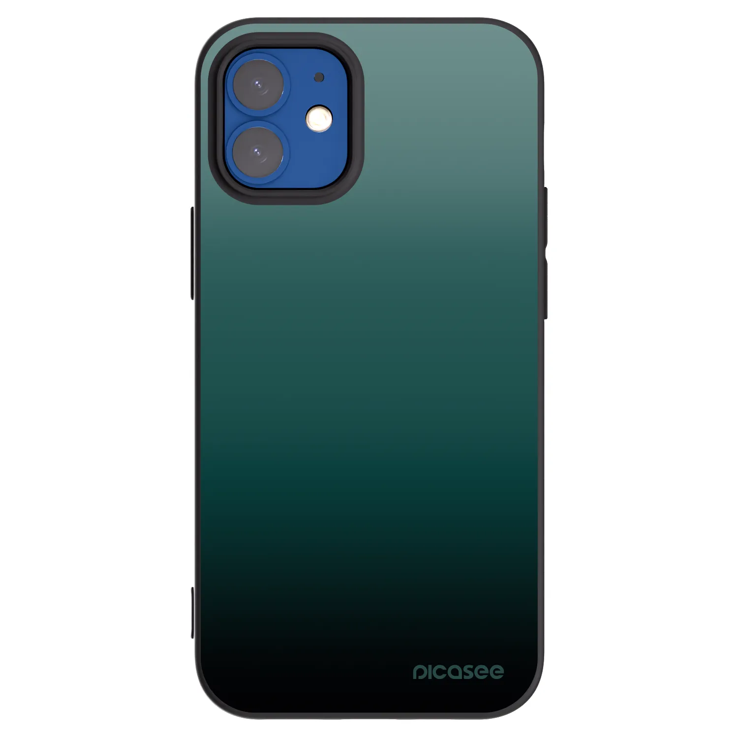 Picasee Apple iPhone 12 mini Hülle - Schwarzes Silikon - Verdant Fade