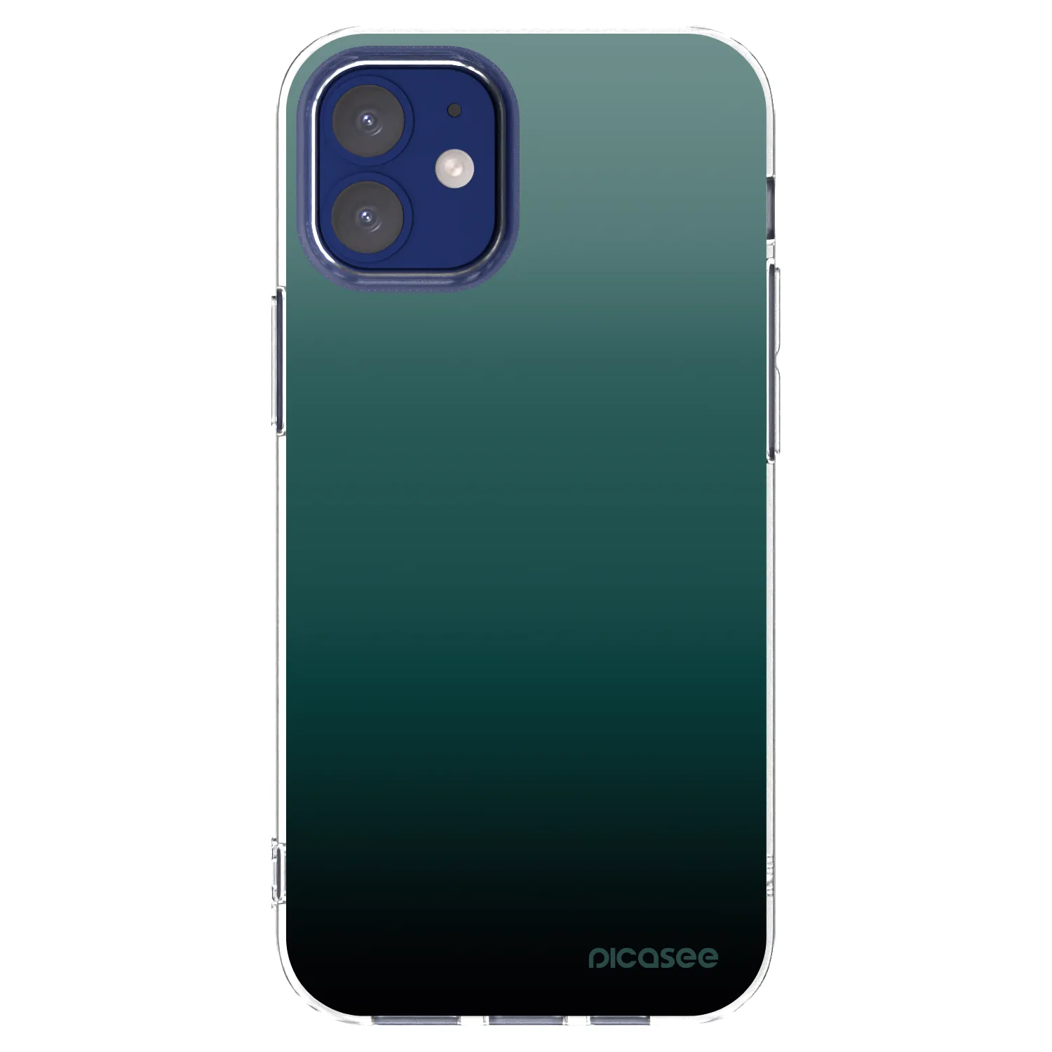 Picasee Apple iPhone 12 mini Hülle - Transparentes Silikon - Verdant Fade