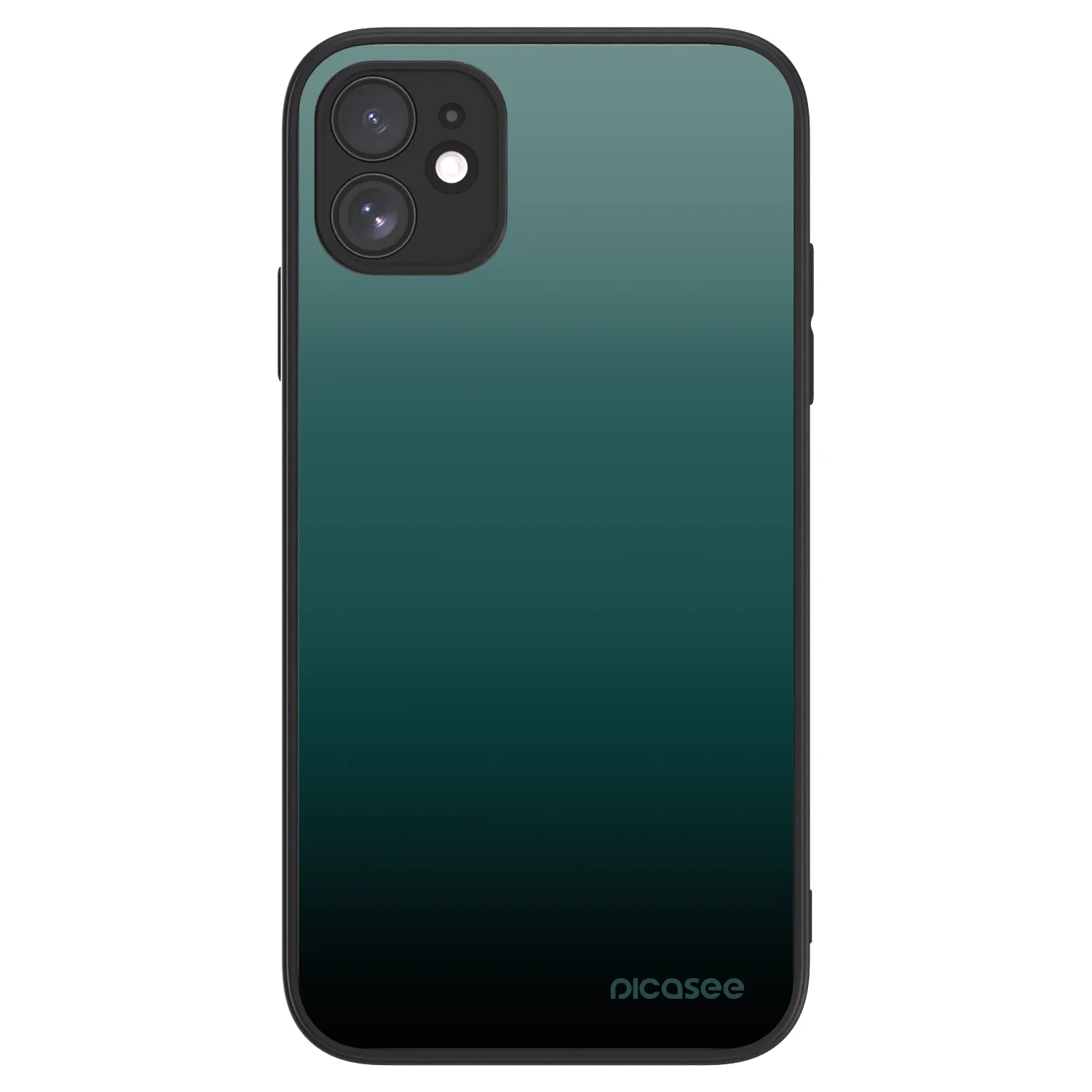Picasee ULTIMATE CASE MagSafe für Apple iPhone 11 - Verdant Fade