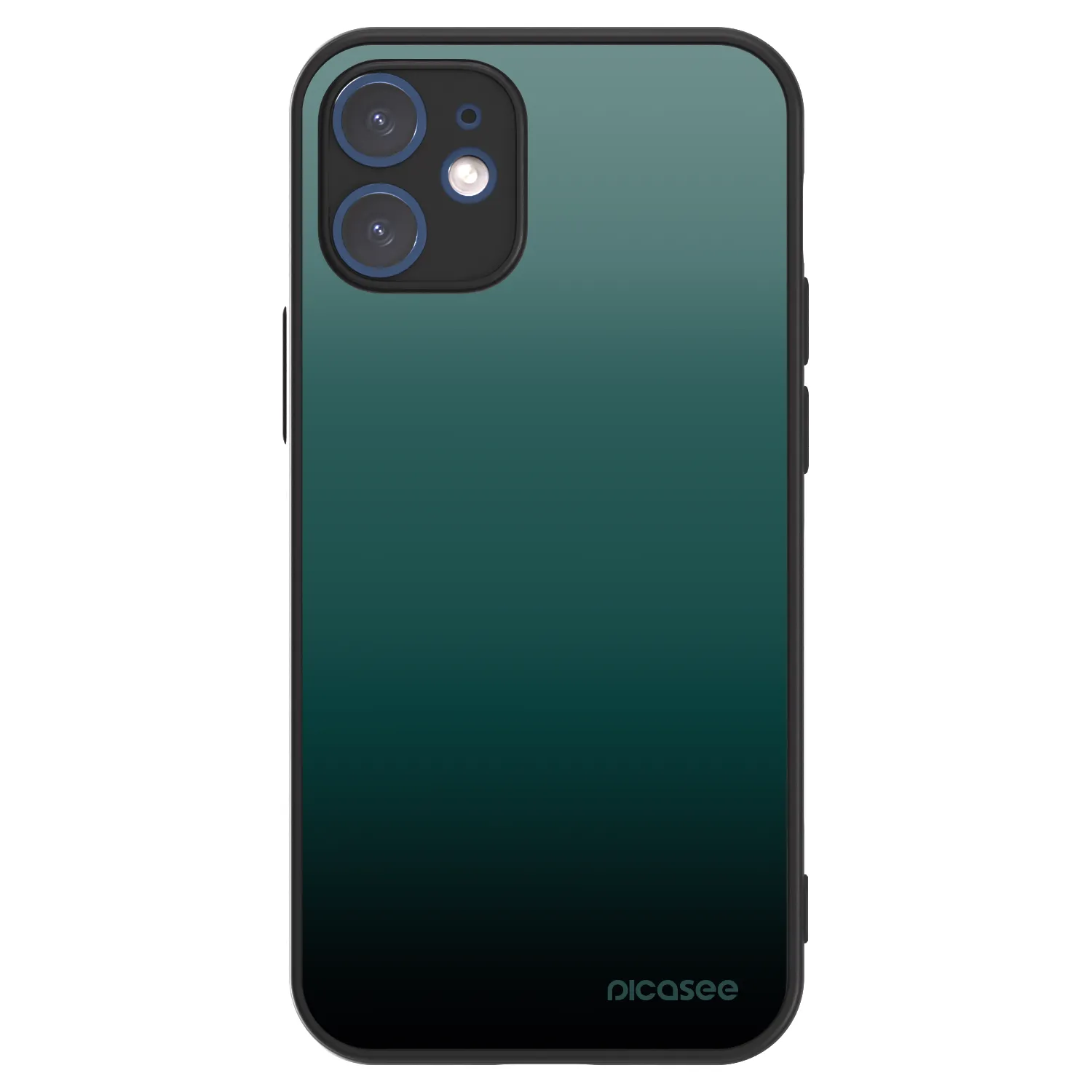 Picasee ULTIMATE CASE MagSafe für Apple iPhone 12 mini - Verdant Fade