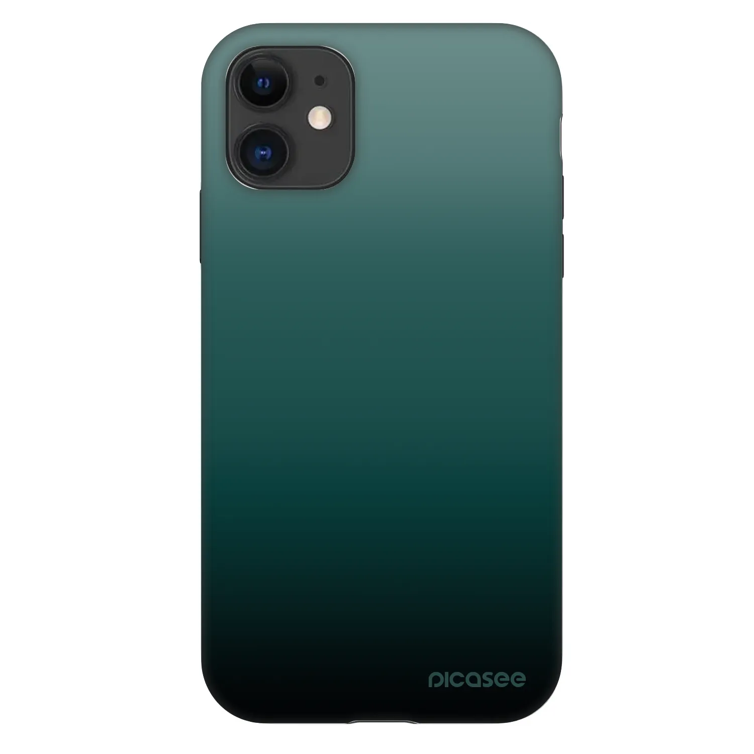 Picasee Fashion Case für Apple iPhone 11 - Verdant Fade