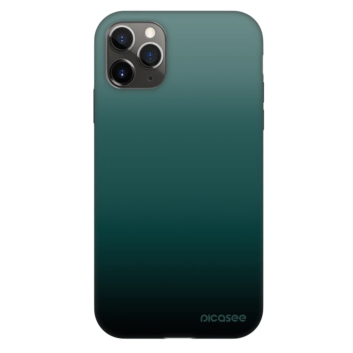 Picasee Fashion Case für Apple iPhone 11 Pro - Verdant Fade