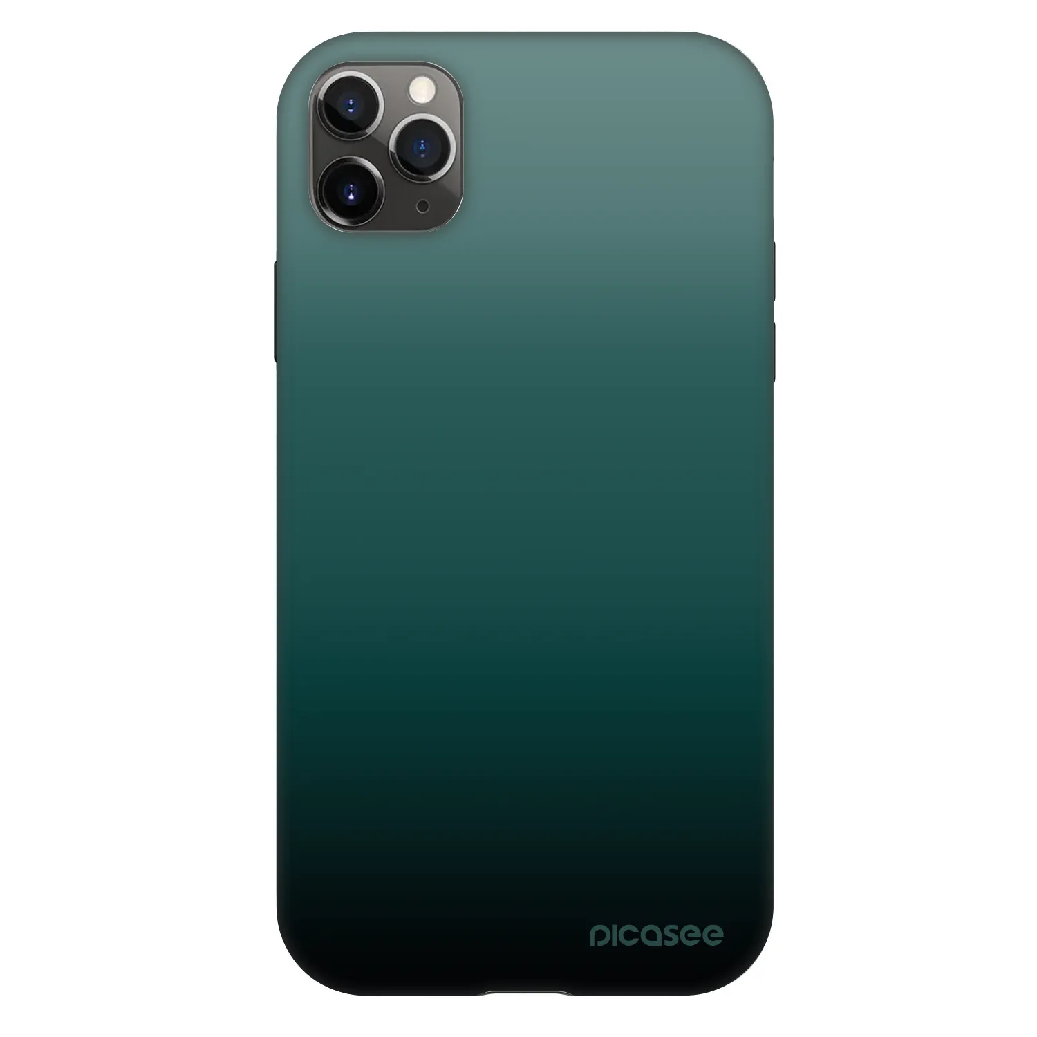 Picasee Fashion Case für Apple iPhone 11 Pro Max - Verdant Fade
