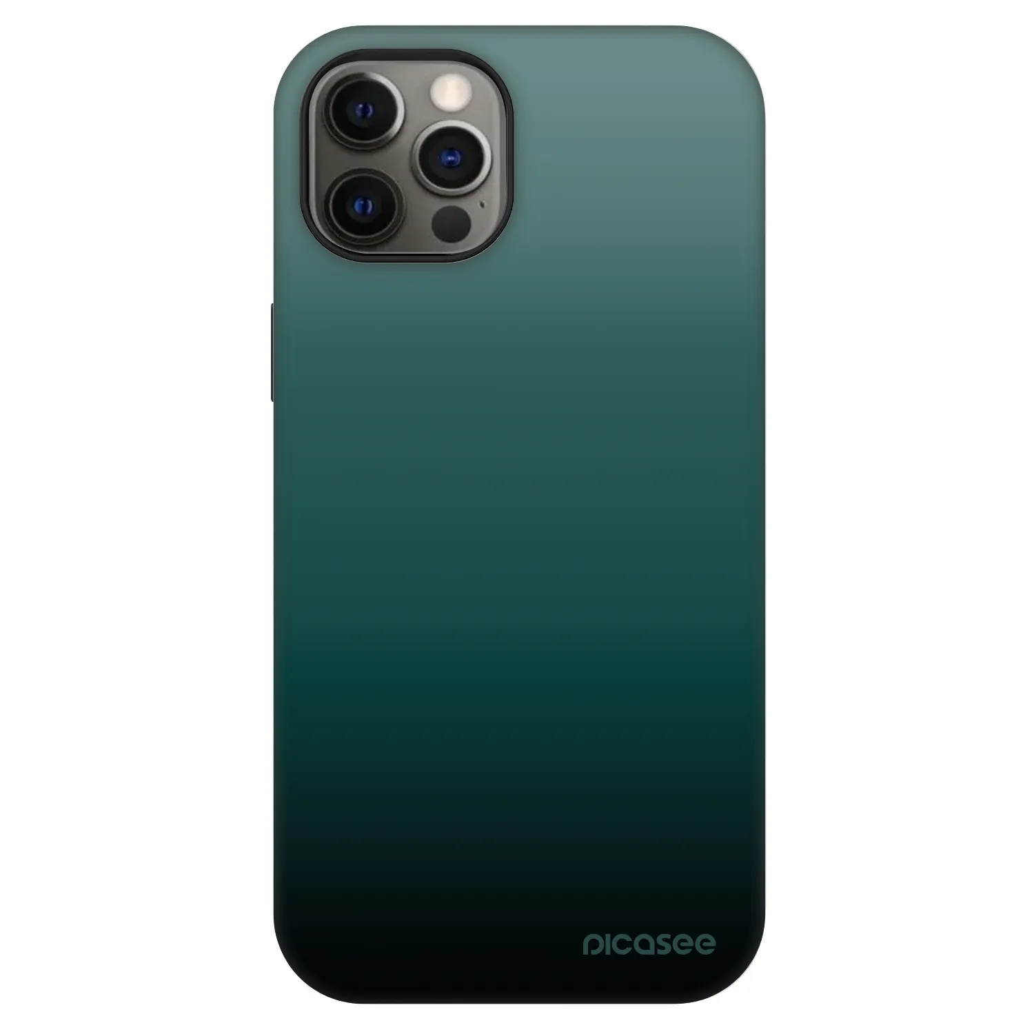 Picasee Fashion Case MagSafe für Apple iPhone 12 - Verdant Fade