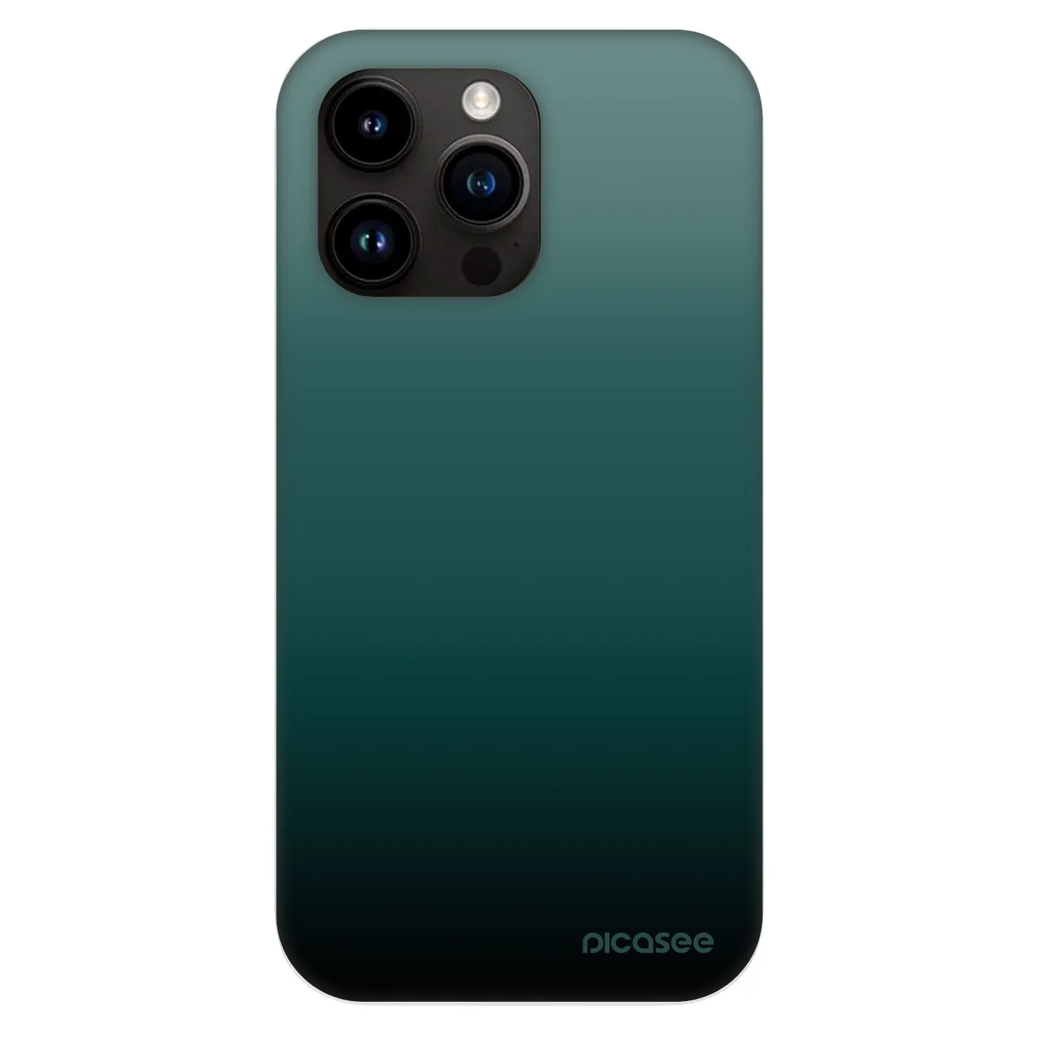 Picasee Fashion Case MagSafe für Apple iPhone 13 Pro - Verdant Fade