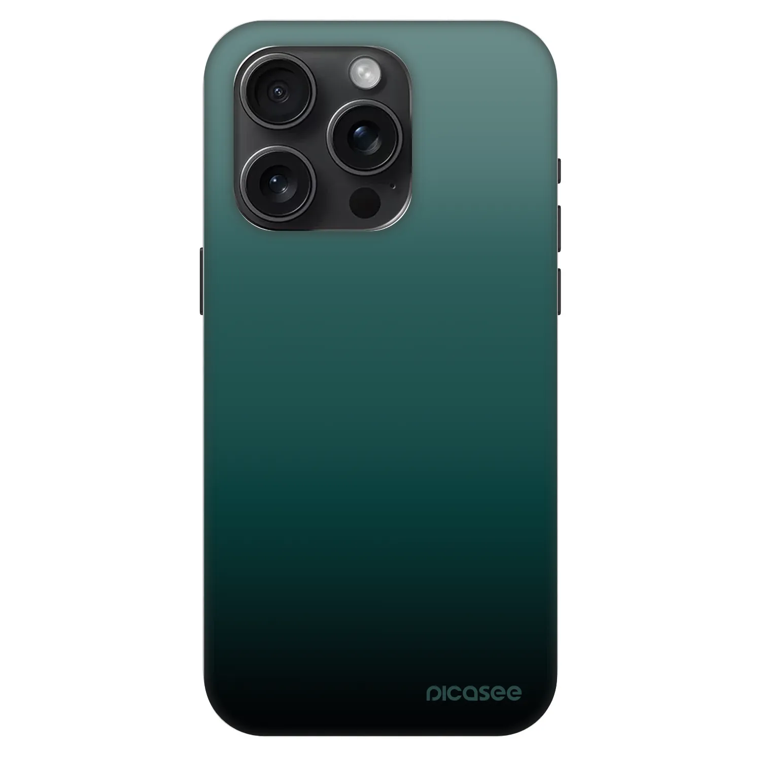 Picasee Fashion Case MagSafe für Apple iPhone 15 Pro - Verdant Fade