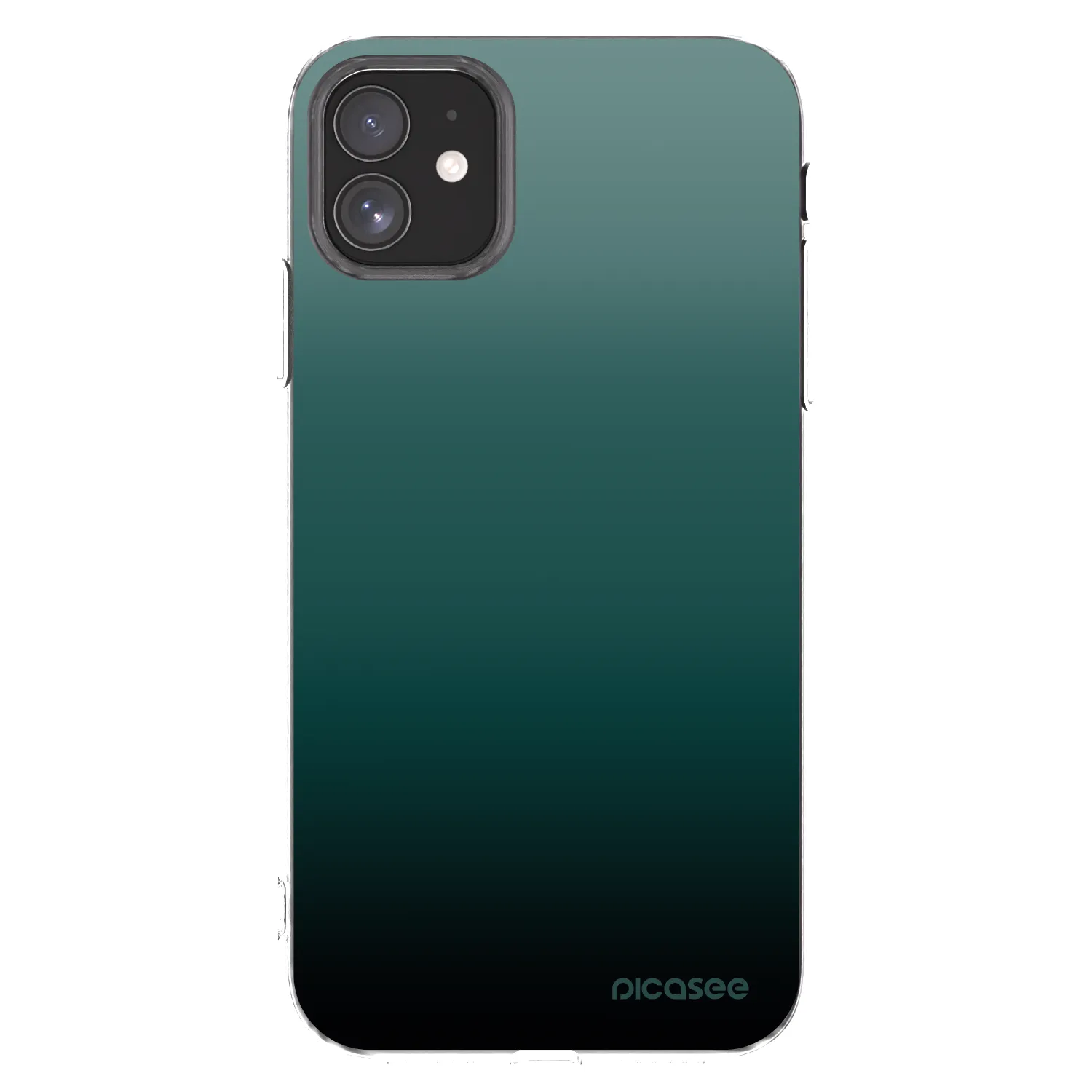 Picasee Apple iPhone 11 Hülle - Transparentes Silikon - Verdant Fade