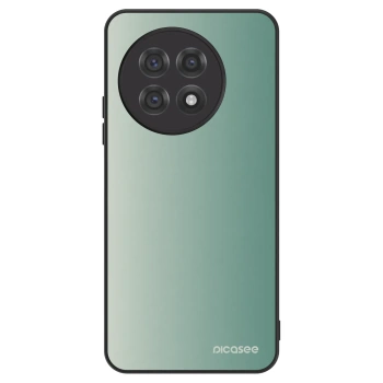 Hülle für OnePlus 13R 5G - Misty Sage