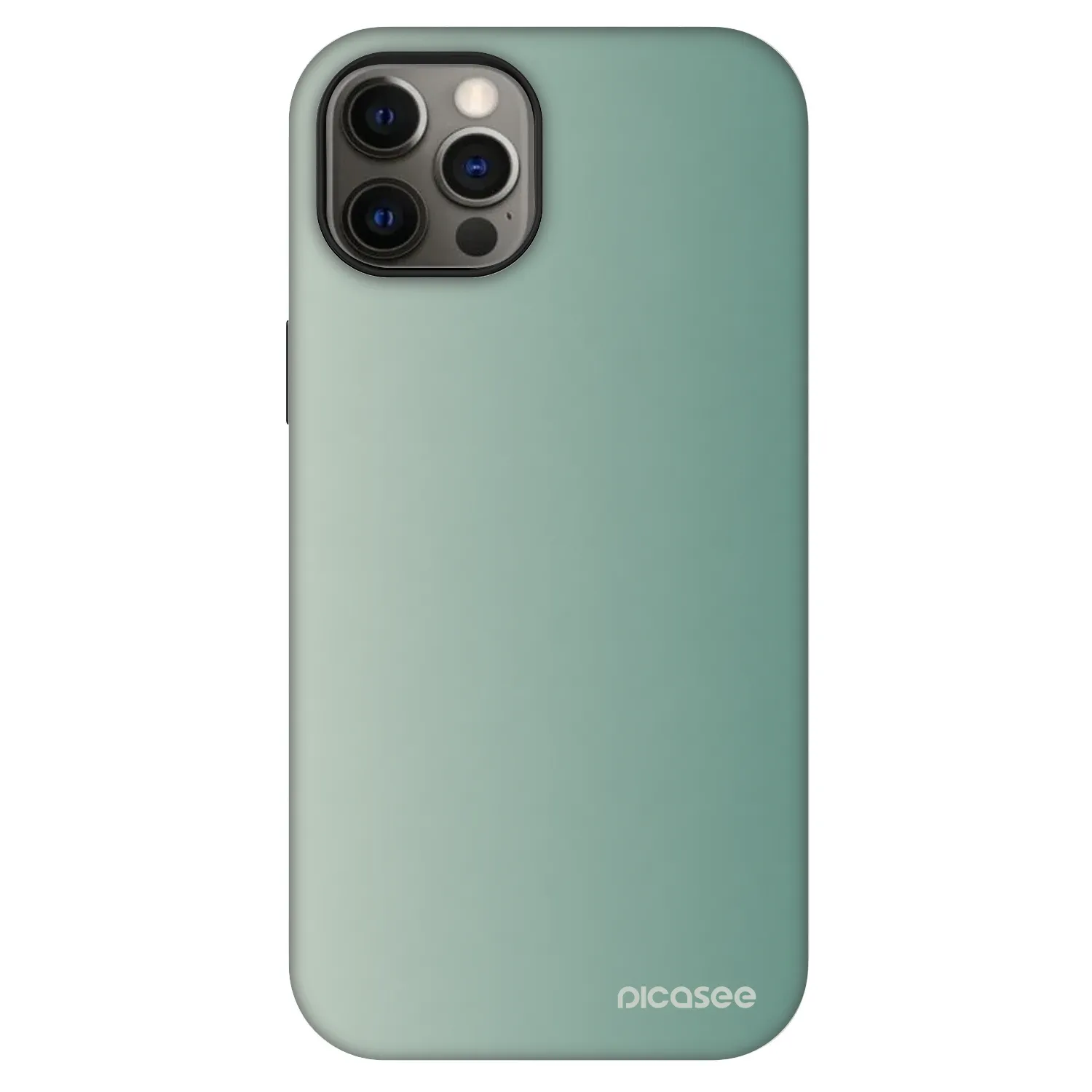 Picasee Fashion Case MagSafe für Apple iPhone 12 - Misty Sage