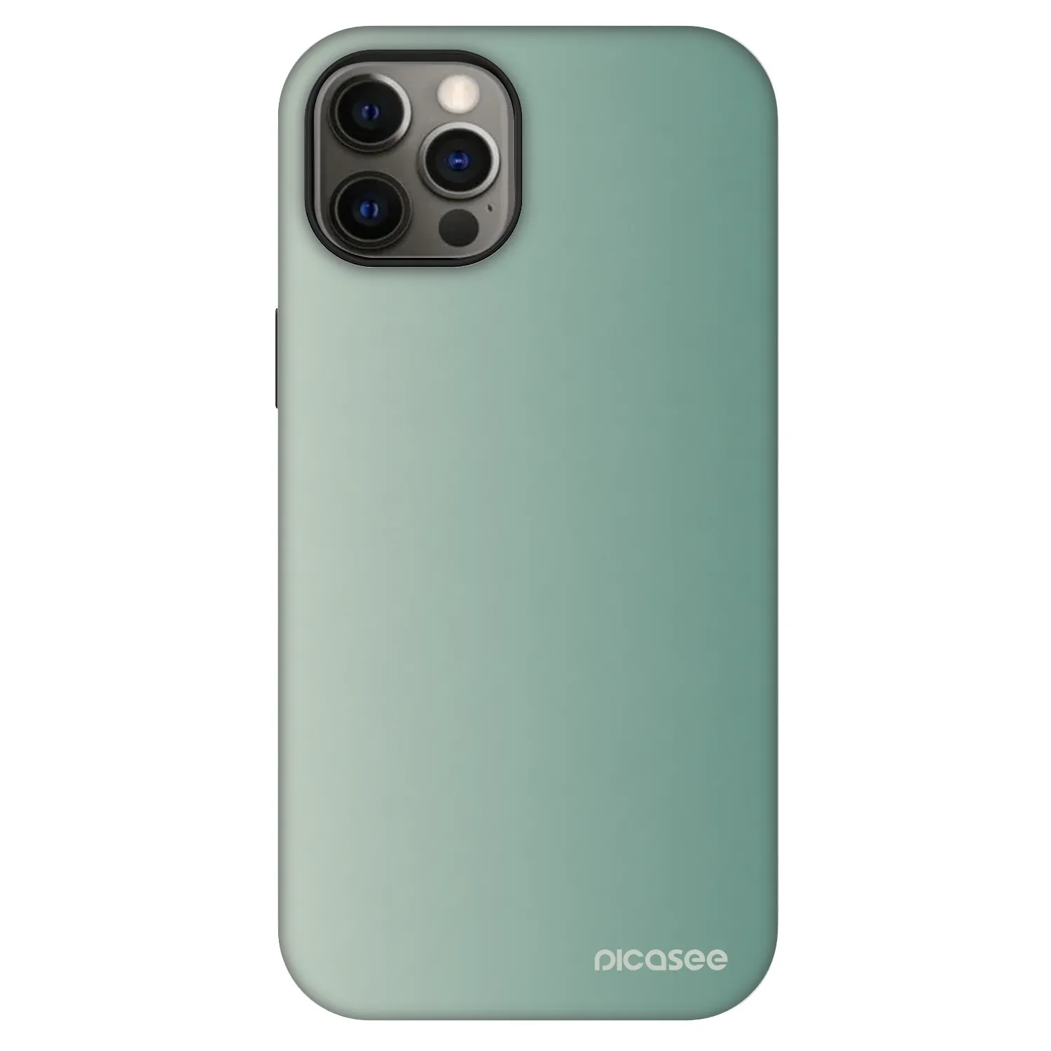 Picasee Fashion Case MagSafe für Apple iPhone 12 Pro - Misty Sage
