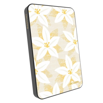 Powerbank mit MagSafe 5 000 mAh Grau - Island Leave
